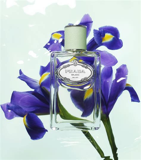 iris prada equivalenza|Infusion d'Iris (2015) Prada for women .